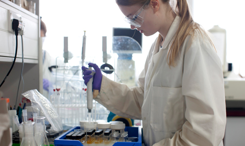 Researcher squeezing liquid into plastic pot